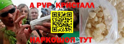 шишки Изобильный