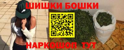 шишки Изобильный