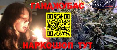 шишки Изобильный