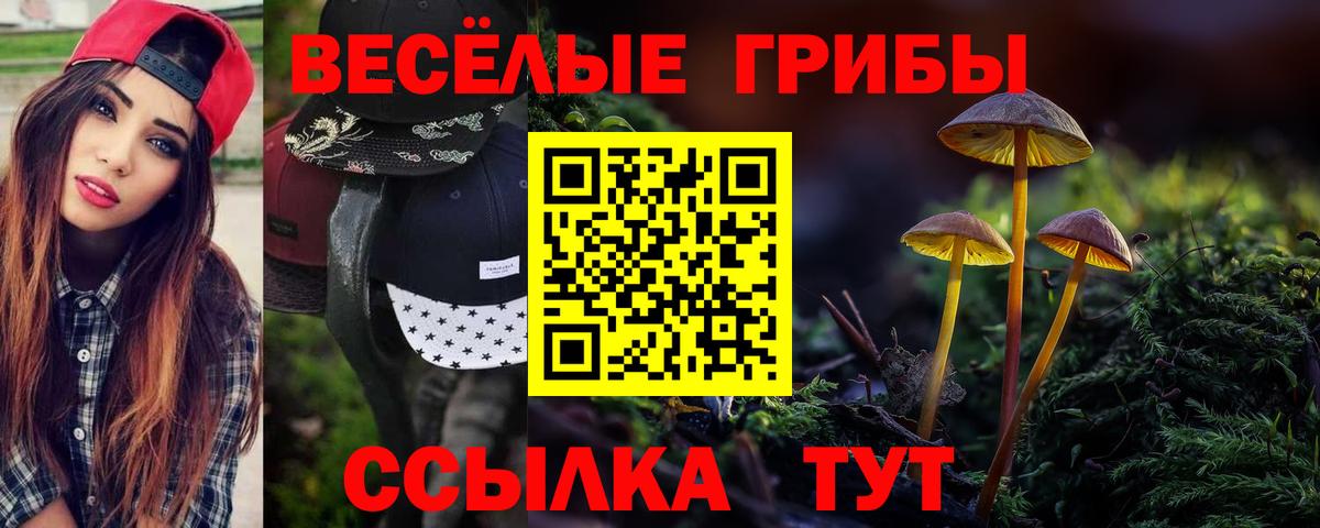 Галлюциногенные грибы мухоморы Люберцы